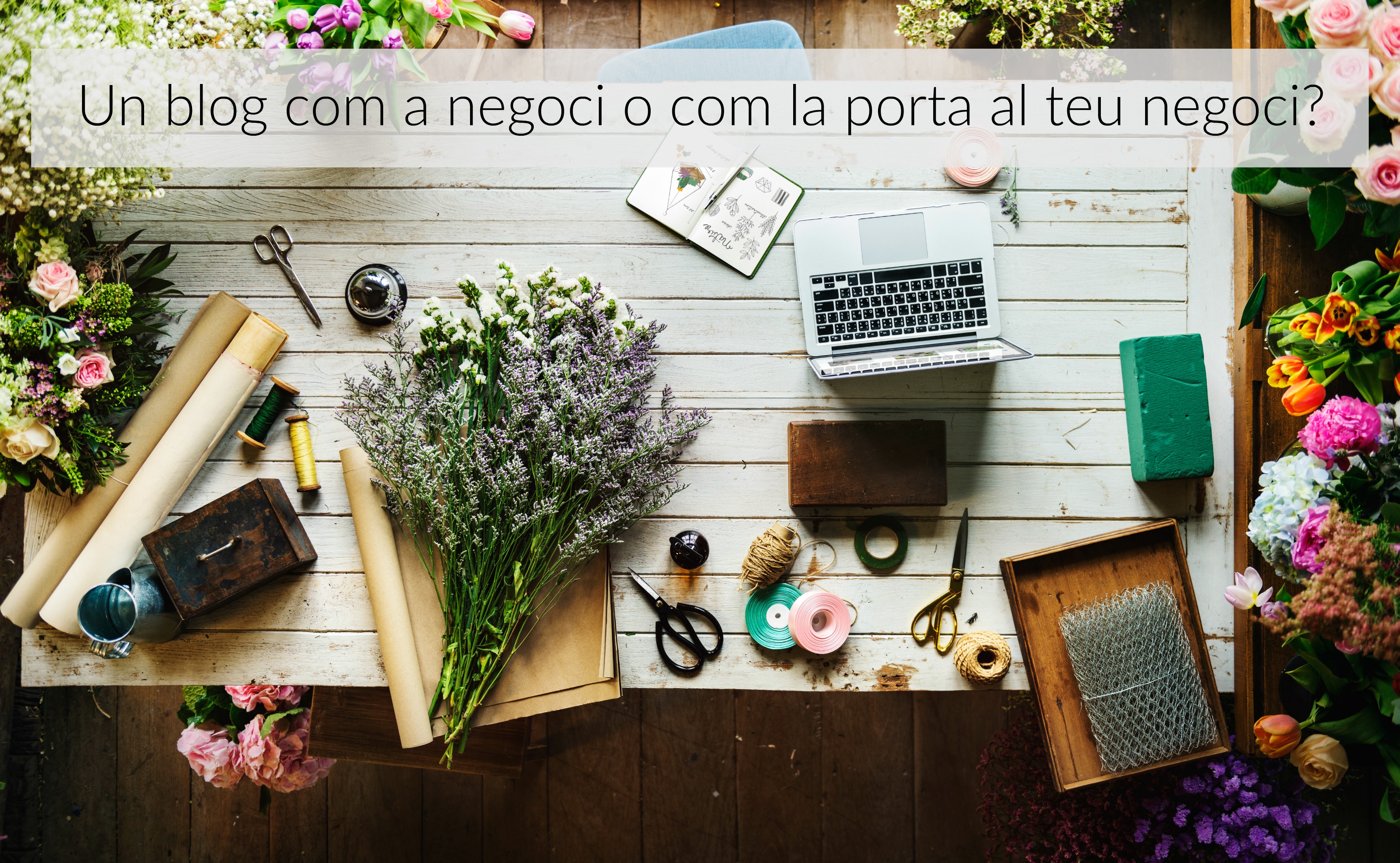 blog-negoci