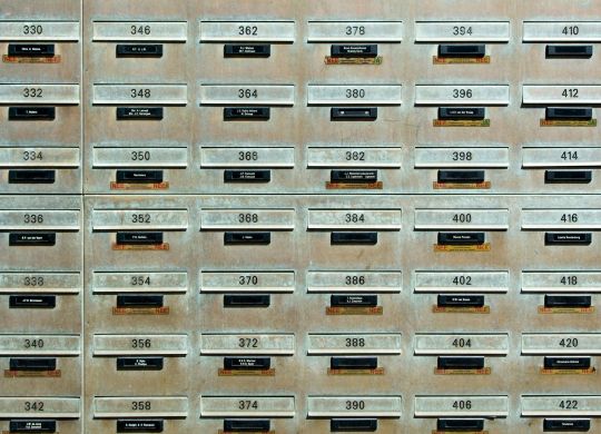 pexels-jan-van-der-wolf-directori-wordpress