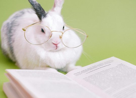 9d8eb915-5bb9-4f7b-8249-c796e207ca59_6240x4160